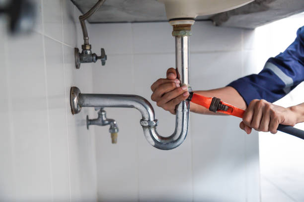 Best Local Plumber Services  in Palisades Park, NJ