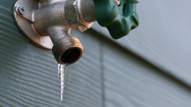 Best Drain Cleaning Services  in Palisades Park, NJ